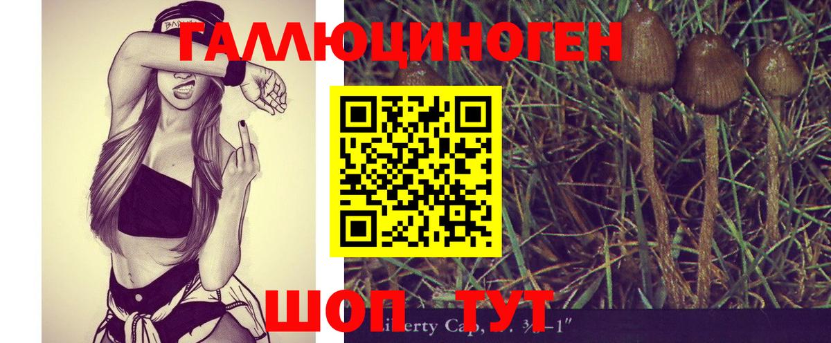 Псилоцибиновые грибы Cubensis Лениногорск