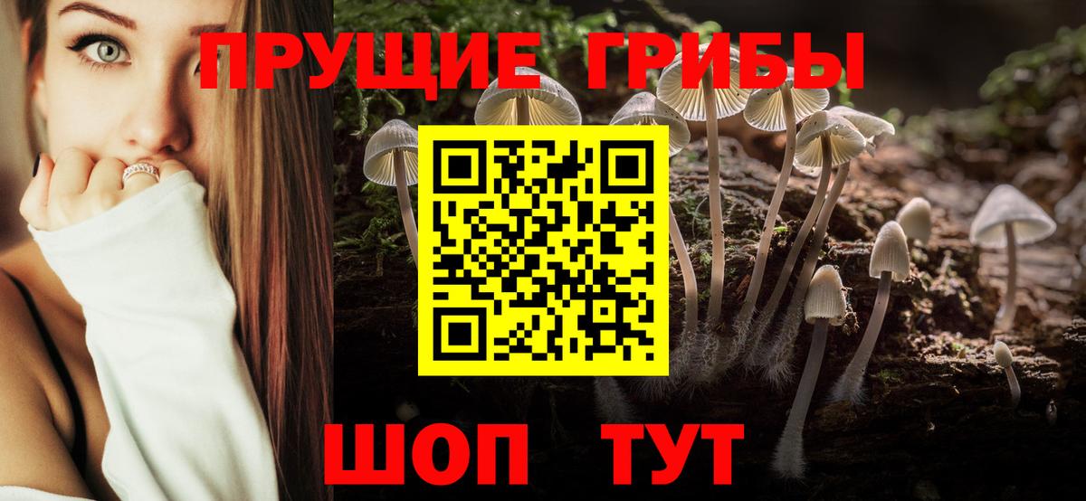 Лениногорск  Галлюциногенные грибы Psilocybine cubensis  Вход с VPN  Псилоцибиновые грибы мухоморы 